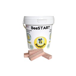 Allume Feu BEESTART