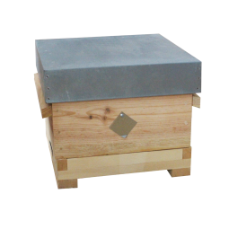 Ruche Warre Complète